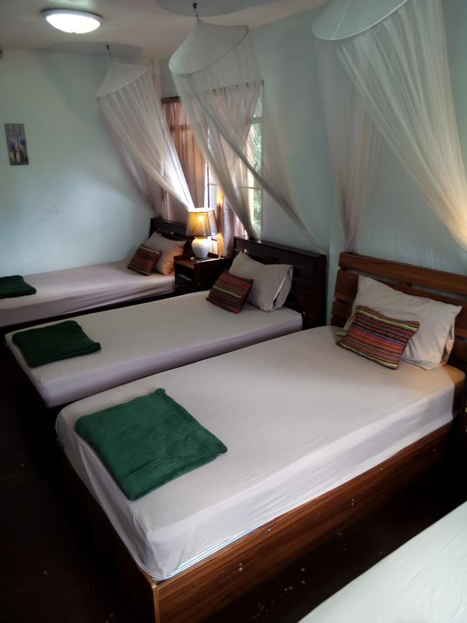 Twin House @ Tapae Vandrerhjem Chiang Mai Eksteriør bilde