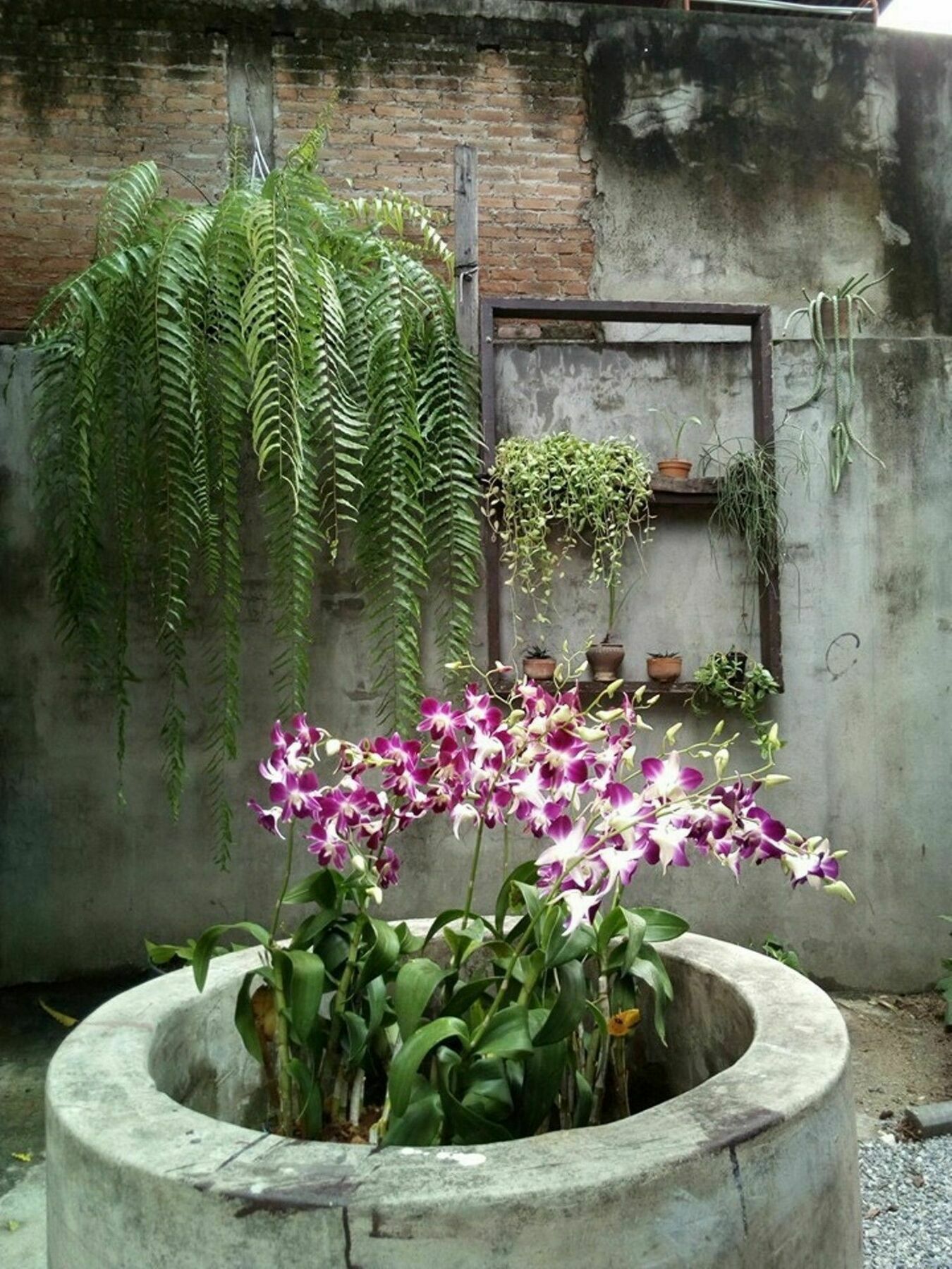 Twin House @ Tapae Vandrerhjem Chiang Mai Eksteriør bilde